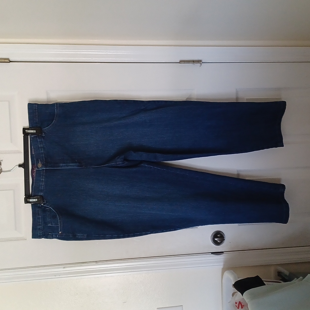 Womens plus size 22W jeans gloria vanderbilt Amanda's